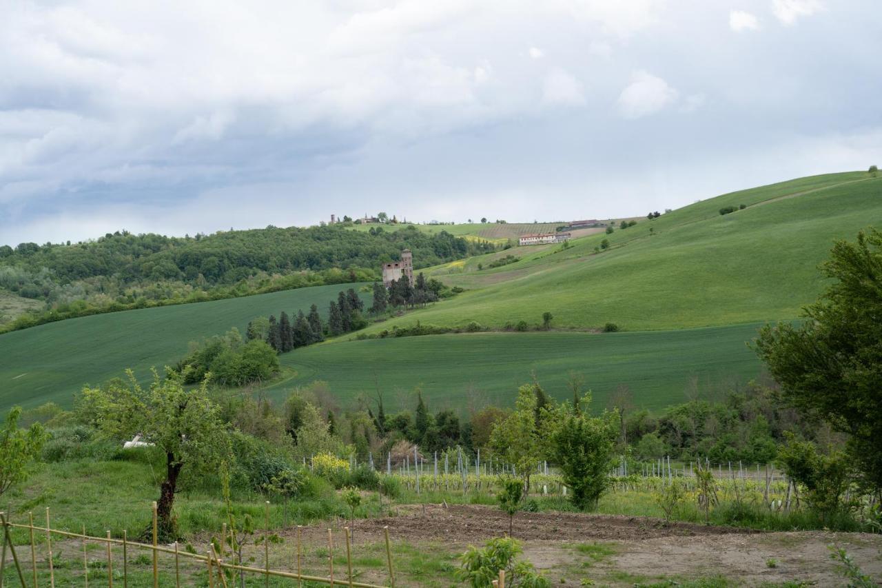 Апартаменти Cascina Pelizza Казале-Монферрато Екстер'єр фото