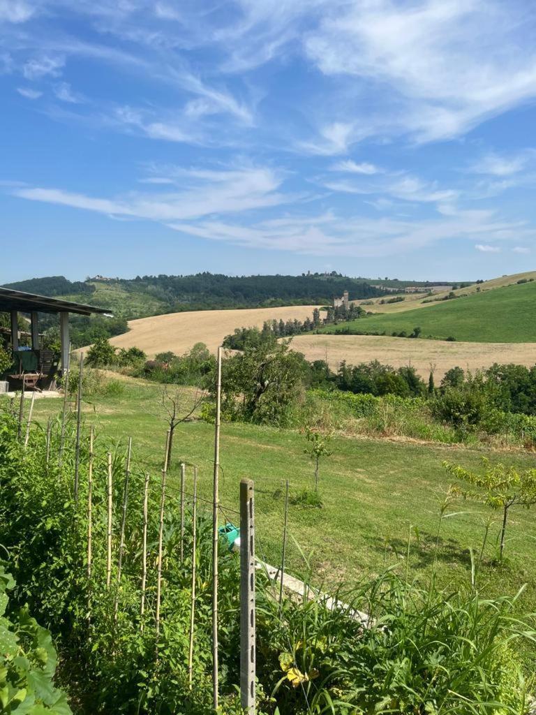 Апартаменти Cascina Pelizza Казале-Монферрато Екстер'єр фото